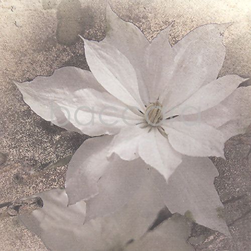 K521 Vintage 12x12 cm doble 10-pakk