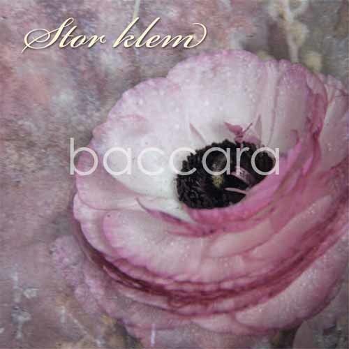 K510 Vintage 12x12 cm doble 10-pakk