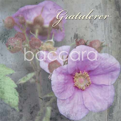 K508 Vintage 12x12 cm doble 10-pakk