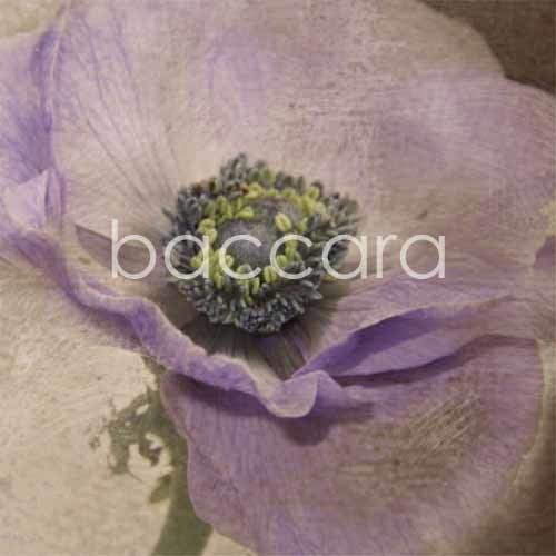 K517 Vintage 12x12 cm doble 10-pakk