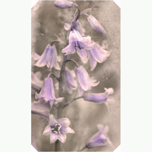 H034 Vintage gavelapp 6.3x10.5 cm 20-pakk