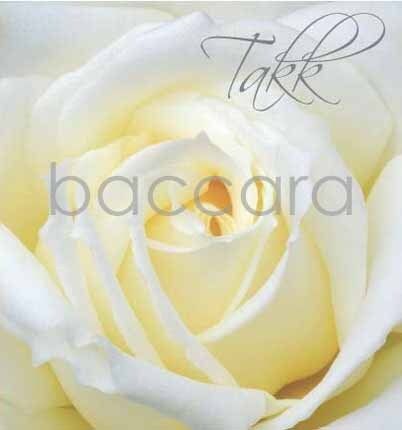 8110 mini kvadratisk 20-pakk