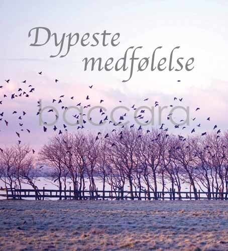 8114 mini kvadratisk 20-pakk