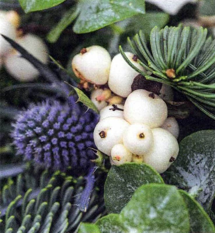 7521 mini kvadratisk 20-pakk