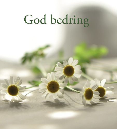 8124 mini kvadratisk 20-pakk