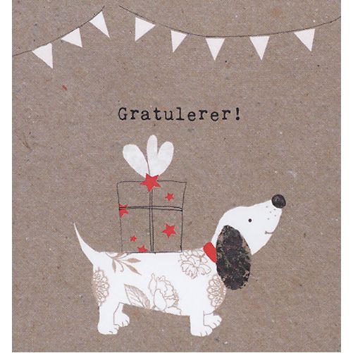 HMI doble minikort 20 pakk