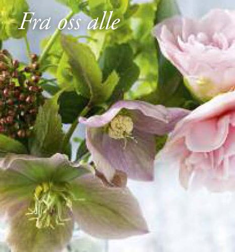 8120 mini kvadratisk 20-pakk