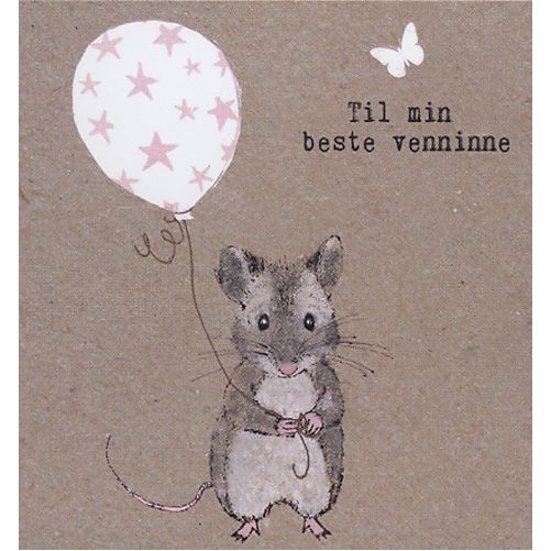 HMI doble minikort 20 pakk