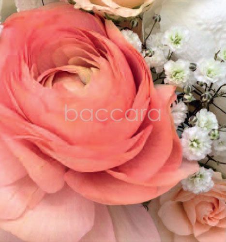 7224 mini kvadratisk 20-pakk