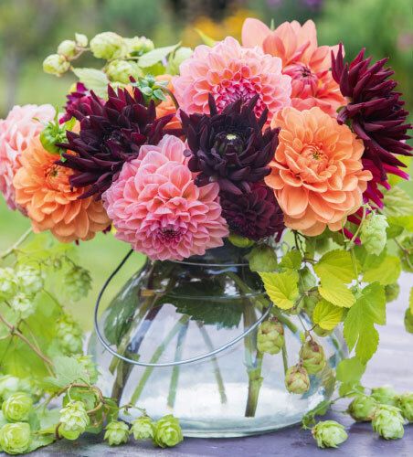 7233 mini kvadratisk 20-pakk