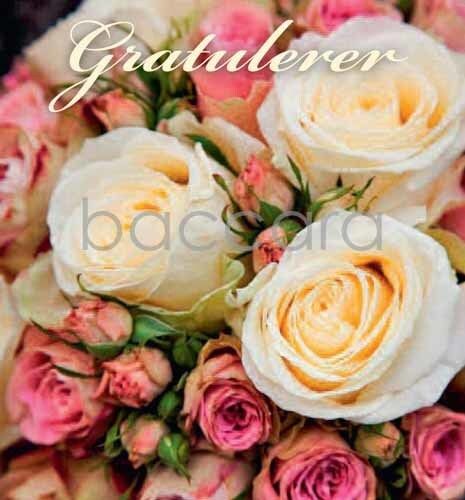 8115 mini kvadratisk 20-pakk