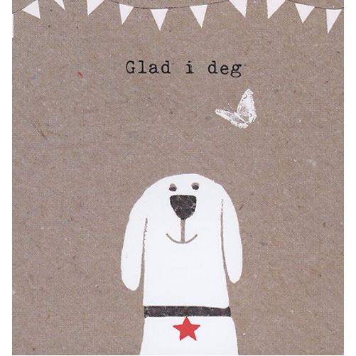 HMI doble minikort 20 pakk