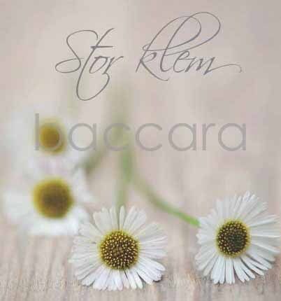 8109 mini kvadratisk 20-pakk