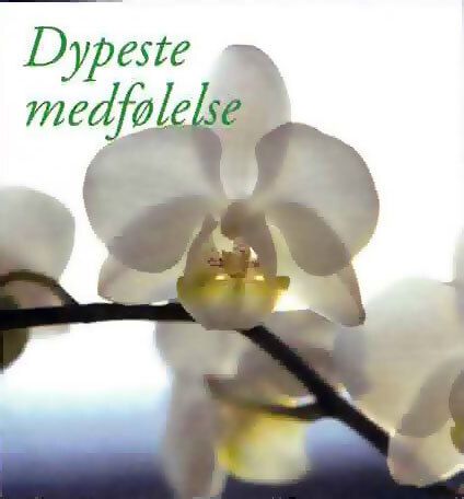 8101 mini kvadratisk 20-pakk