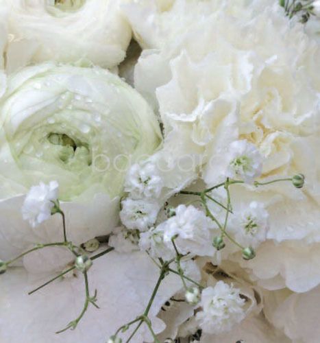 7225 mini kvadratisk 20-pakk