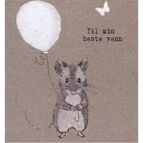 HMI doble minikort 20 pakk