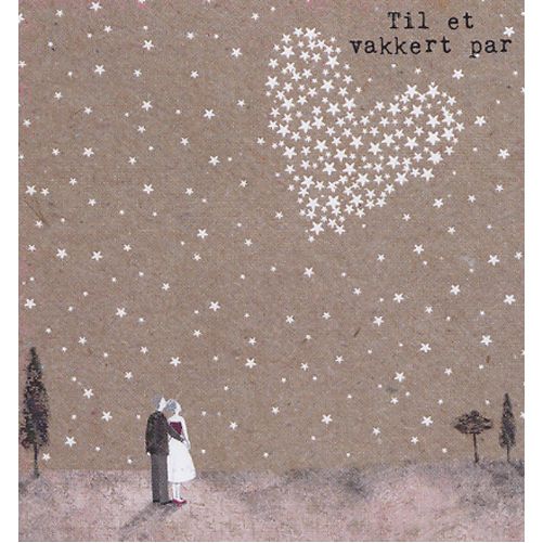 HMI doble minikort 20 pakk