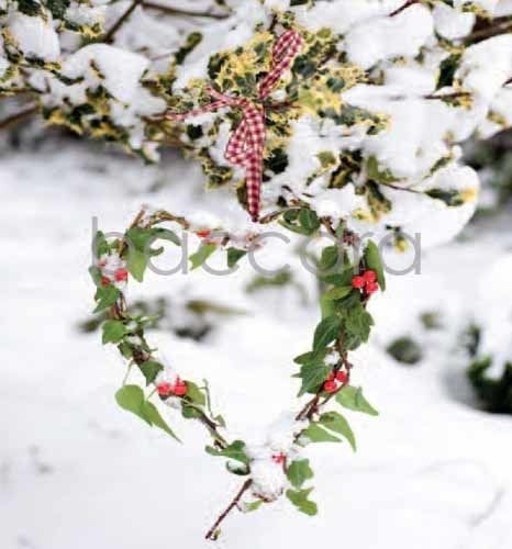 7514 mini kvadratisk 20-pakk