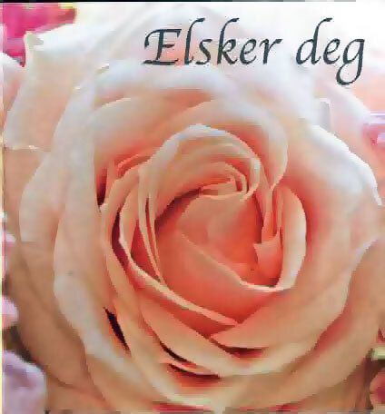 8103 mini kvadratisk 20-pakk