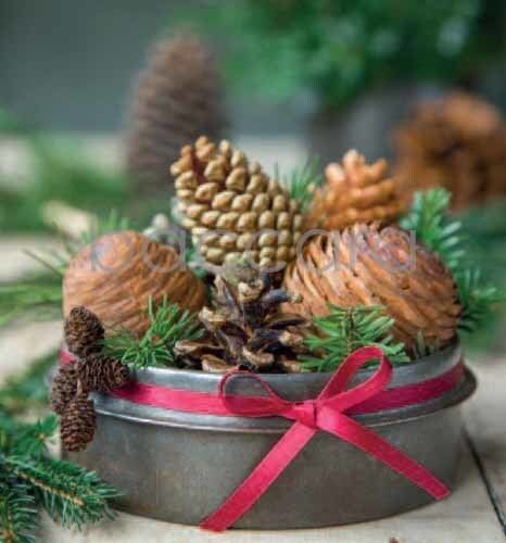 7520 mini kvadratisk 20-pakk