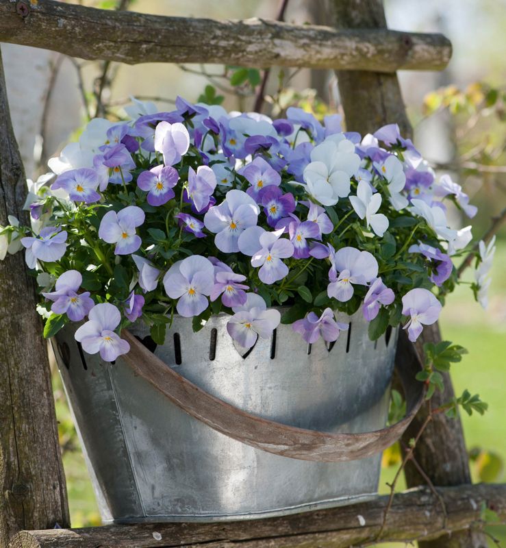 7229 mini kvadratisk 20-pakk