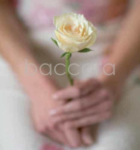 7164 mini kvadratisk 20-pakk