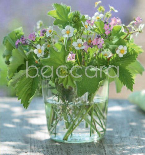 7211 mini kvadratisk 20-pakk