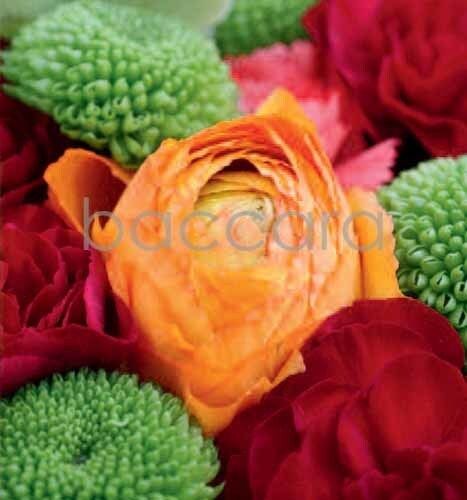 7149 mini kvadratisk 20-pakk