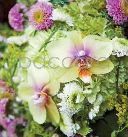 7134 mini kvadratisk 20-pakk