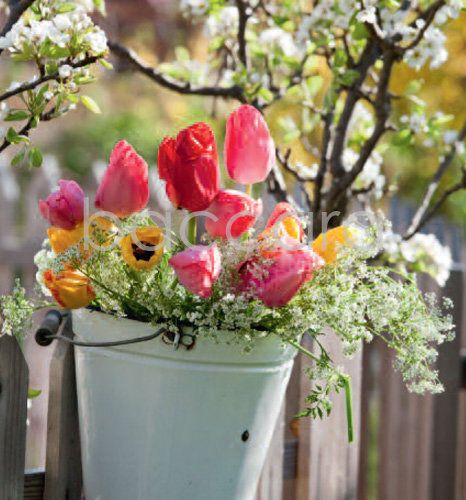 7204 mini kvadratisk 20-pakk