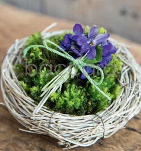 7175 mini kvadratisk 20-pakk