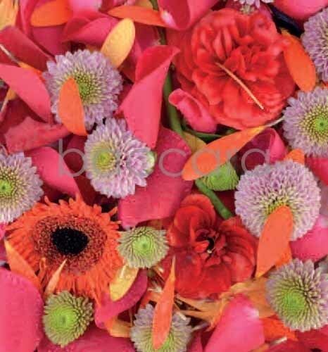 7187 mini kvadratisk 20-pakk