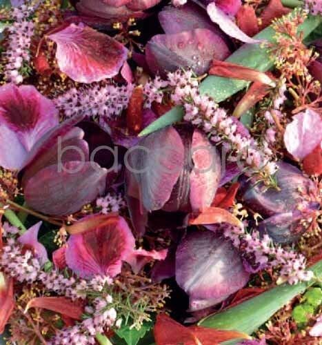 7184 mini kvadratisk 20-pakk