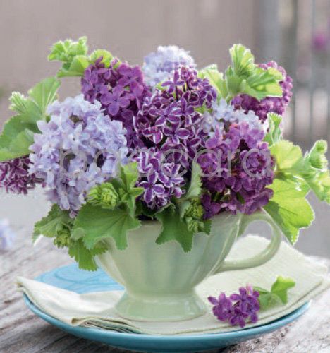 7202 mini kvadratisk 20-pakk