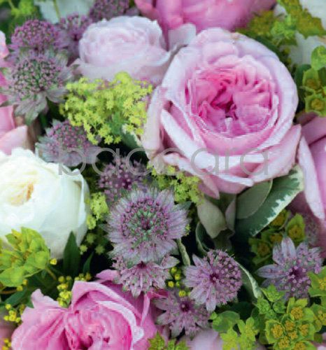 7194 mini kvadratisk 20-pakk