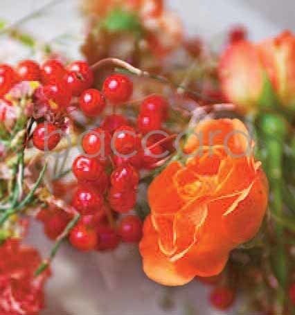 7137 mini kvadratisk 20-pakk