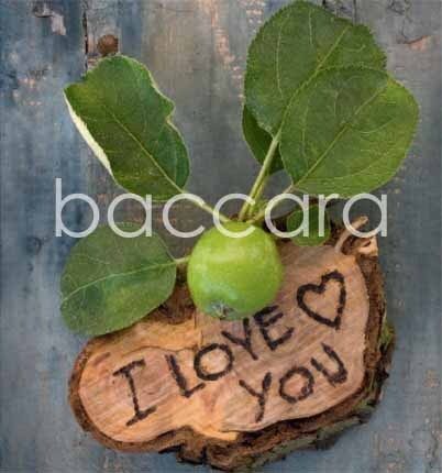 7095 mini kvadratisk 20-pakk