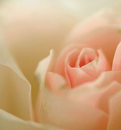 7040 mini kvadratisk 20-pakk