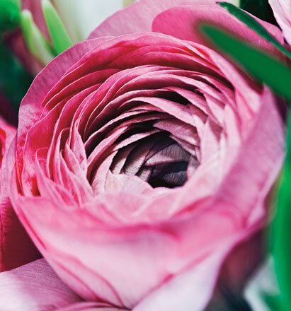 7046 mini kvadratisk 20-pakk