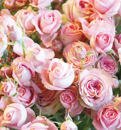 7054 mini kvadratisk 20-pakk