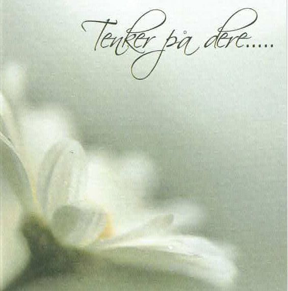 8105 mini kvadratisk 20-pakk