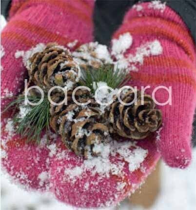 7504 mini kvadratisk 20-pakk