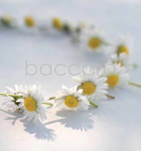 7165 mini kvadratisk 20-pakk