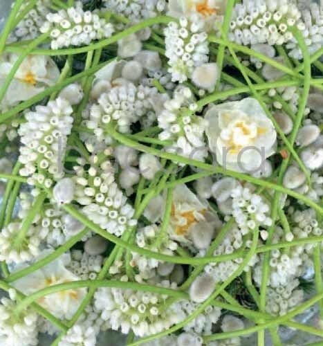 7188 mini kvadratisk 20-pakk