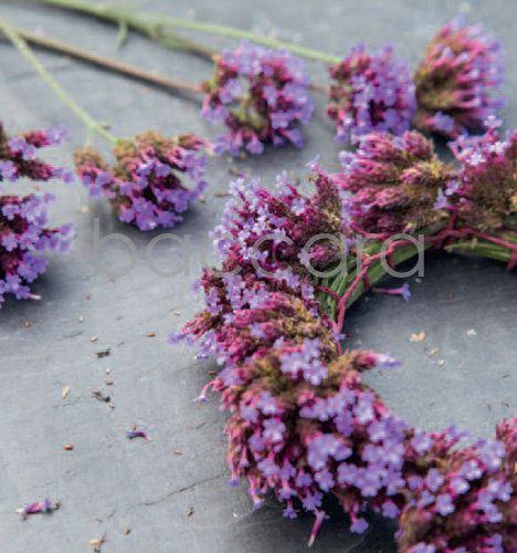 7192 mini kvadratisk 20-pakk