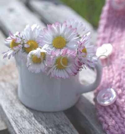 7101 mini kvadratisk 20-pakk