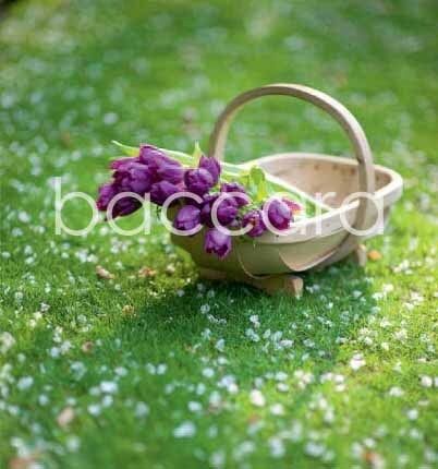 7087 mini kvadratisk 20-pakk