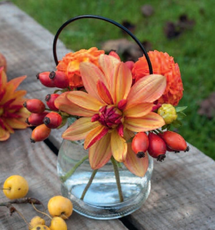 7227 mini kvadratisk 20-pakk