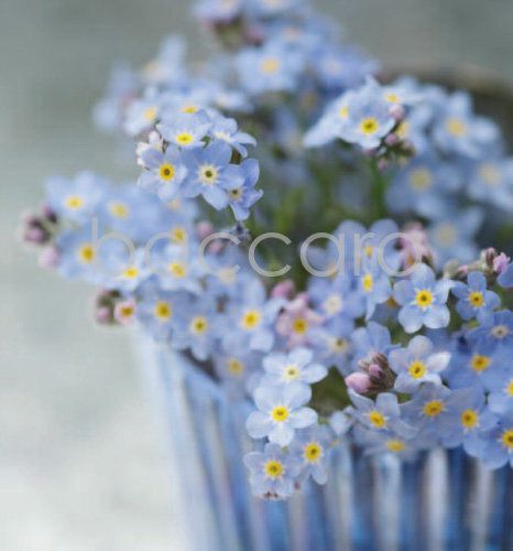 7208 mini kvadratisk 20-pakk