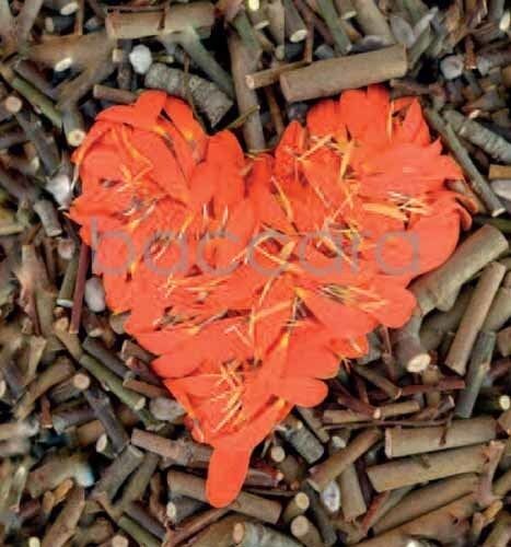 7181 mini kvadratisk 20-pakk